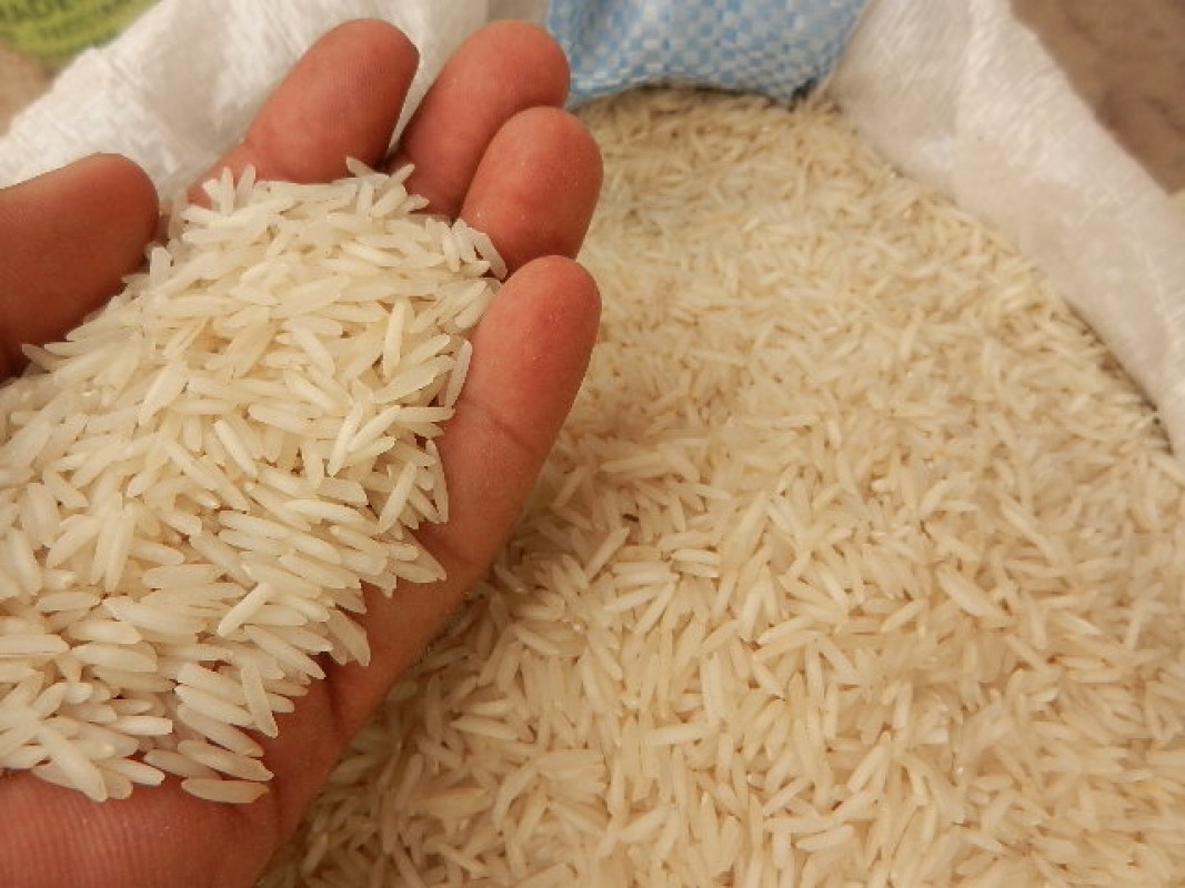 RIZ BASMATI DU PAKISTAN from Pakistan